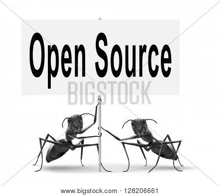 Open source program software program or economy freeware internet data computer sharing