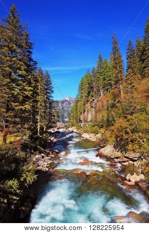 Rapid mountain stream of coniferous forests. Pastoral in the Alpine mountain valley in Austria. Cascades of cold water at the source of the famous Krimml waterfalls