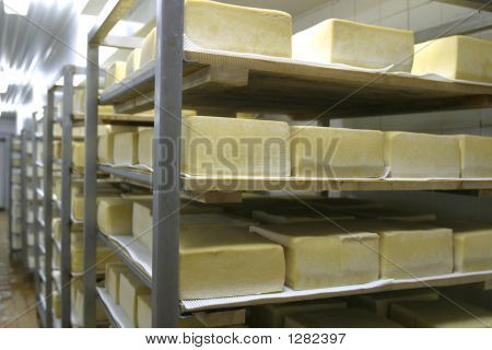 Archiviazione di formaggio nel caseificio