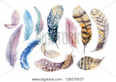 Hand drawn watercolor paintings vibrant feather set. Boho style wings. illustration isolated on white. Bird fly design for T-shirt invitation wedding card.Rustic Bright colors.