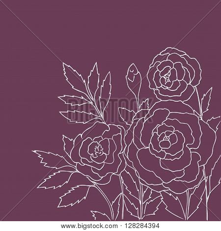 Beautiful roses isolated on purple background. Hand drawn vector illustration with flowers. Pink retro floral card. Romantic delicate bouquet. Element for design. Contour lines and strokes.