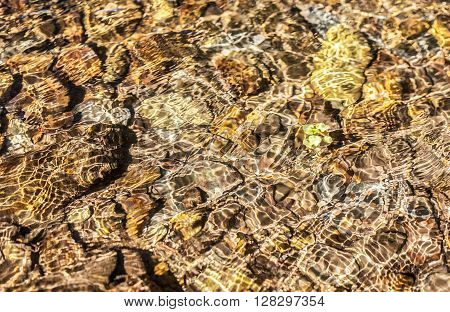 Translucent water waves over brown pebbles with little green plant. Background