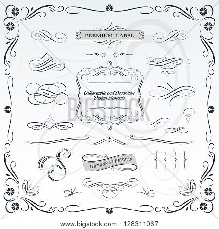 Collection of calligraphic and decorative design patterns embellishments in vector format.