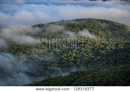 Landscape of green forest covered with mist and clouds at sunrise