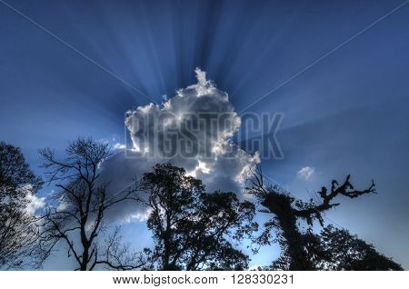 Beautiful image of Sun light beams coming from behind cloud blue sky and trees a natural phenomenon. Stock image shot at Sikkim West Bengal India