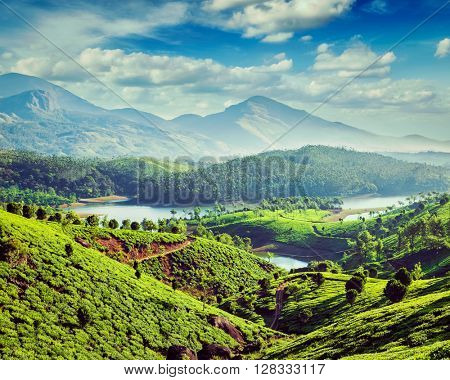 Vintage retro effect filtered hipster style image of tea plantations and Muthirappuzhayar River in hills near Munnar, Kerala, India