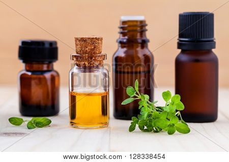 Fresh  Lemon Thyme  Leaves  And Essential Oil With Shallow Depth Of Field Setup On Wooden Background