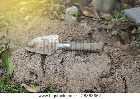 Shovel spoon - tool for digging soil for planting gardening tools