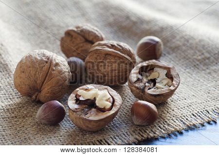 Burlap on a table of black wood. On burlap several walnuts and hazelnuts. Horizontal shot.