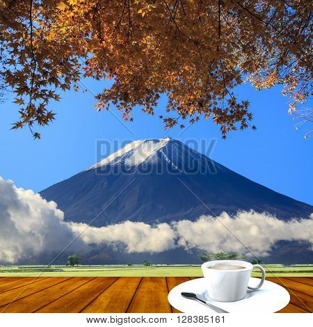 Beautiful Landscape With Nice Background Color