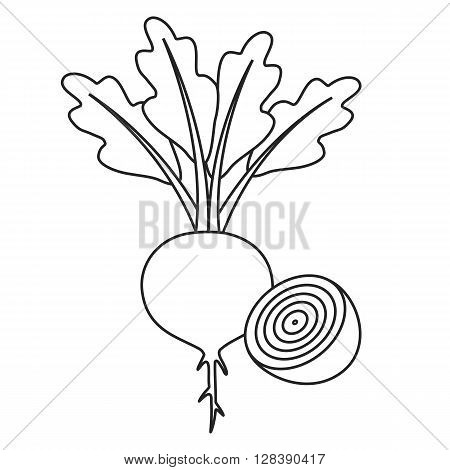 Line icon beet with leaves and half of beet. Vector illustration.
