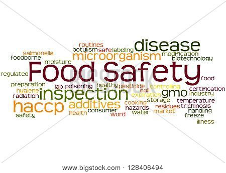 Food Safety, Word Cloud Concept 8