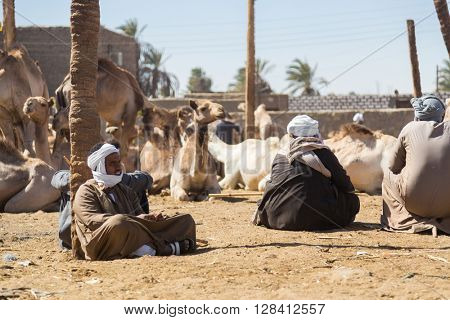 DARAW, EGYPT - FEBRUARY 6, 2016: Local camel salesmen on Camel market sitting on ground.