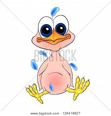chick newborn cartoon with isolation on a white background