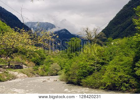 rapid mountain river in Abkhazia in the spring morning, with mountains