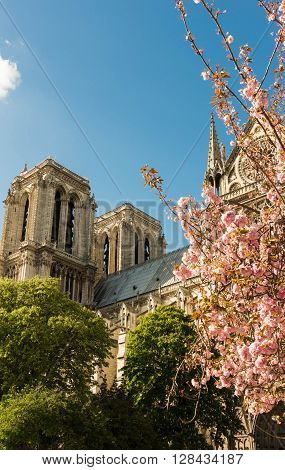 Notre Dame cathedral is a historic catholic cathedral on the eastern half of the Ile de la Cite in the 4th arrondissement of Paris.