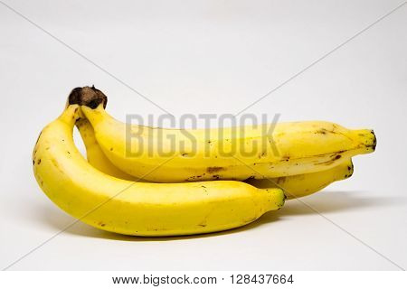 Bunch of Cavendish bananas on white background
