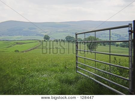 Farm Gate