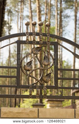 wrought iron ornaments for gates and fence