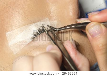 Eyelash extension procedure in beauty salon. Tweezers in hands of tehnician