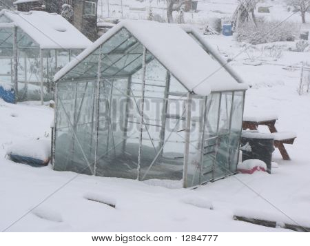 Neve serra
