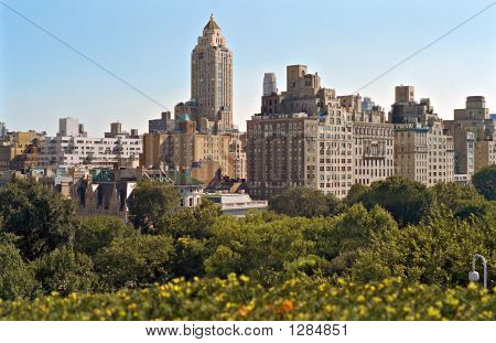 5Th avenue Nyc