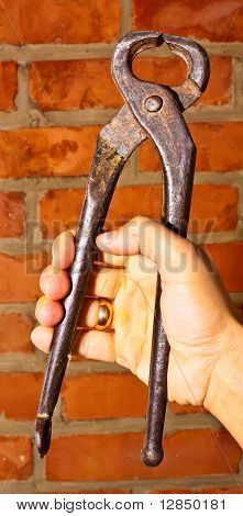 Pinças para unhas
