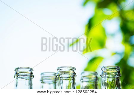 Glass Bottles Over The Sunny Background