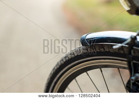 Frontside Of The Bicycle In The Forest, Dof
