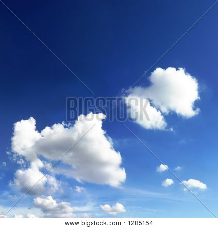 P001_Ni