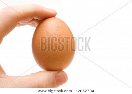 에 삶은 계란 마르스 손
