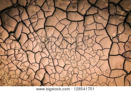 Details of a dried cracked earth for design