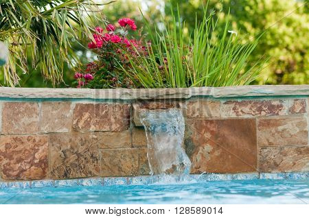 Beautiful swimming pool with flagstone waterfall and pink roses in a garden.
