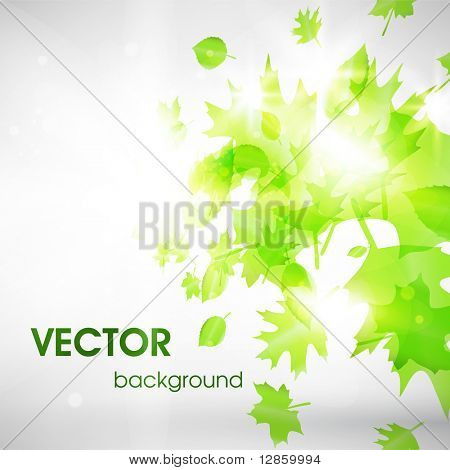 초록 식물 배경