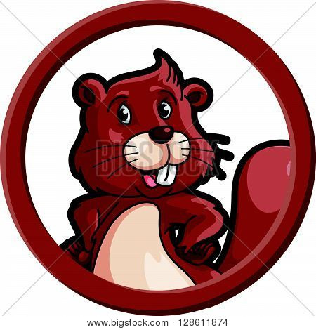 Squirell circle banner illustration .eps10 editable vector illustration design
