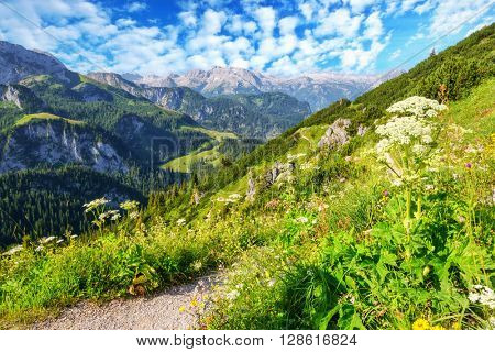 Beautiful view from top of cableway above the Konigsee lake on Schneibstein mountain ridge. Border of German and Austrian Alps, Europe.