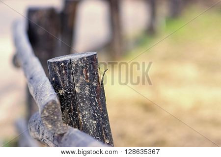 part of an old column and poles from a wooden fence for the ranch closeup on an indistinct background
