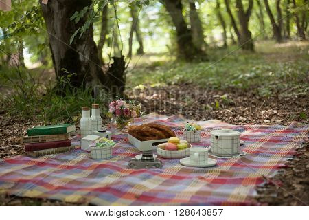 Romantic date in the forest. Picnic in forest.