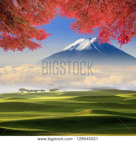 The beautiful landscape with very nice background
