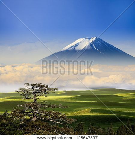 Beautiful Landscape With Nice Background Color
