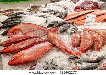 Fishmonger counter with salmon fillets bass and red snapper on ice