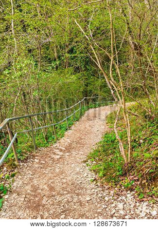 Mountain forest trail with fence and gravel leading down