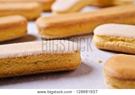 Homemade traditional italian cookie savoiardi. Selective focus