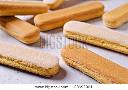 Homemade traditional italian cookie savoiardi. Selective focus