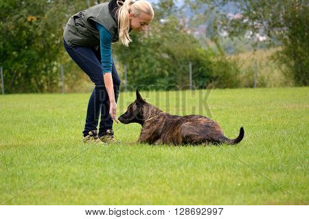 Dog gets a reward of dog trainer