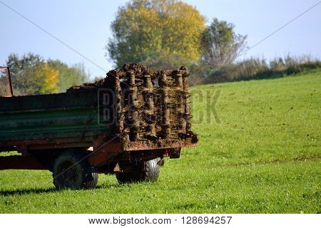 Manure spreader on field road - agriculture
