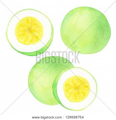 Passion fruit or maracuya set. Hand-drawn fruits - colorful maracuyas on the white background. Real watercolor drawing.