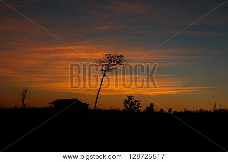 silhouette of the sunset, house and tree
