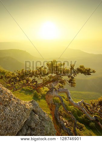 Mountains during sunset. Beautiful natural landscape in the summer time