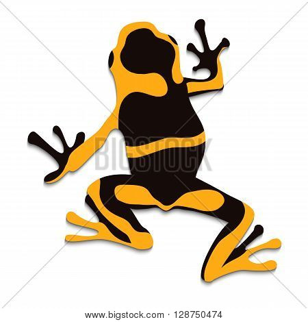 Poison frog flat design. Vector illustration of frog on white background. Poisonous frog. Isolated tree frog epipedobates tricolor top view